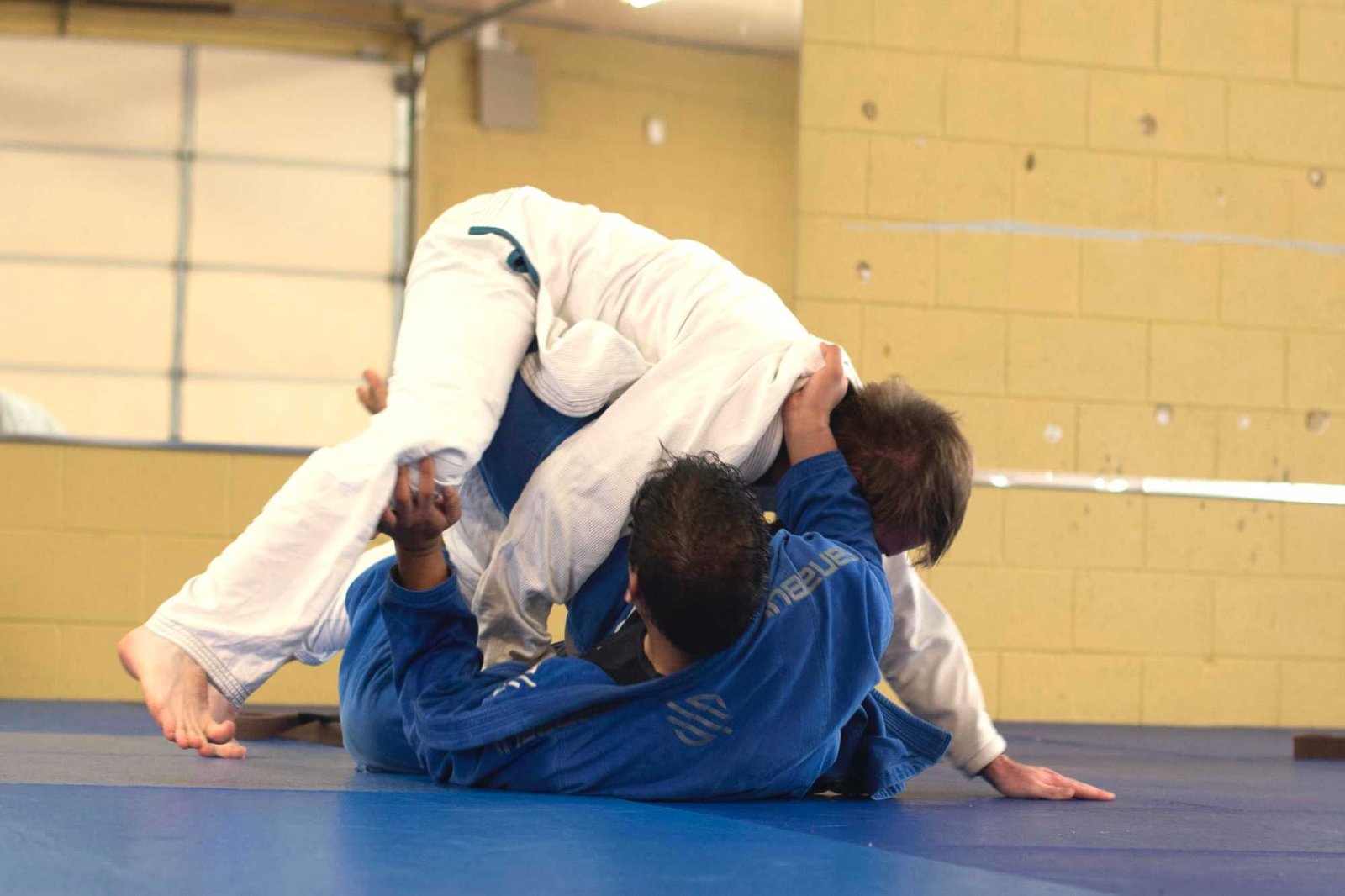 Aprenda quais são as principais regras do Jiu-Jitsu!
