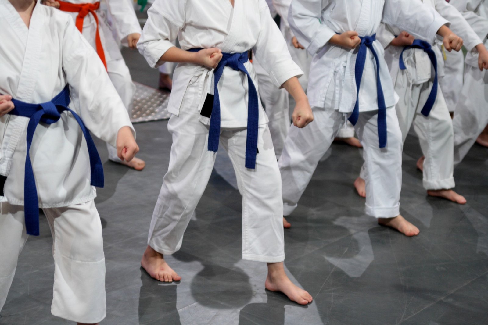 Por que investir em aulas de Jiu-Jitsu infantil?